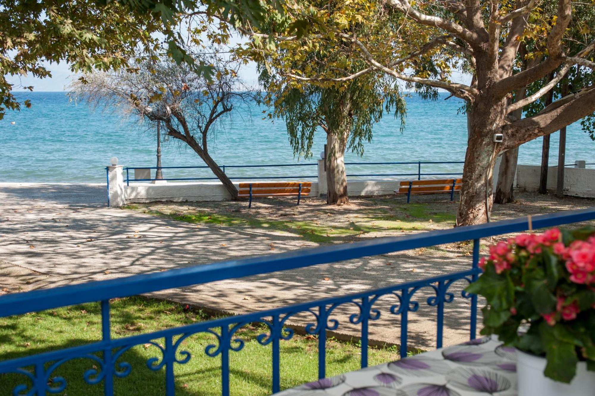 Elaionas  Erodios Apartments חדר תמונה