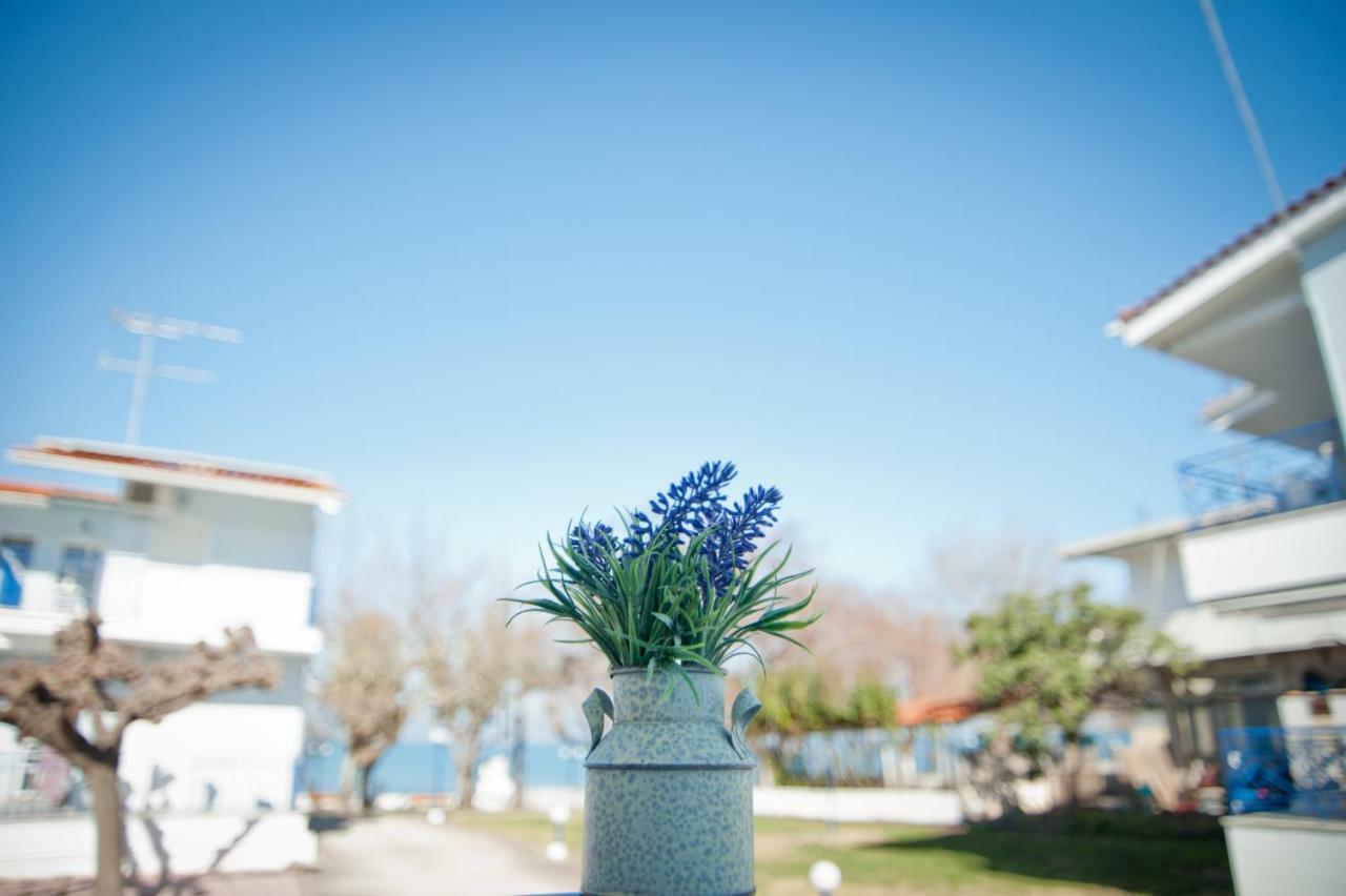Elaionas  Erodios Apartments מראה חיצוני תמונה
